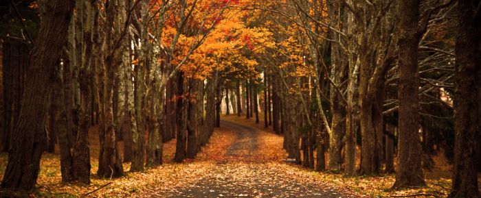 Is Your Car Ready for Autumn